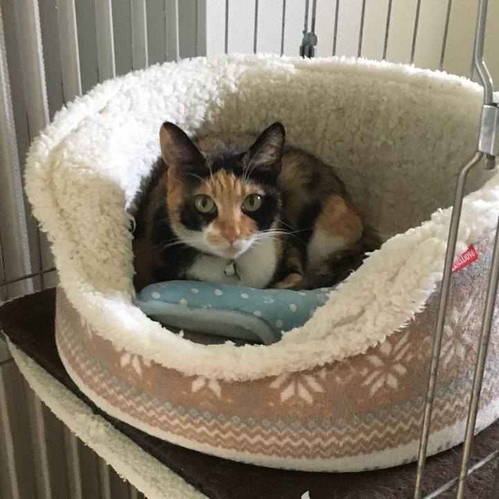 3e26a840 8acb 455c 85cc a61c61c28de9