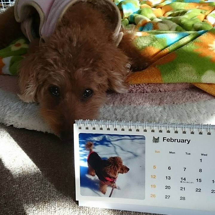 3e2712ff cd5b 4a3f b92b 992437ca0a92