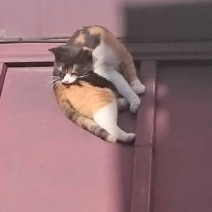 3e28eaf0 9204 40da a2eb 23996a84cec8