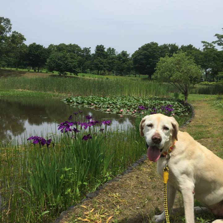 3e28fcf0 627e 49c4 9dca 25693b56d246