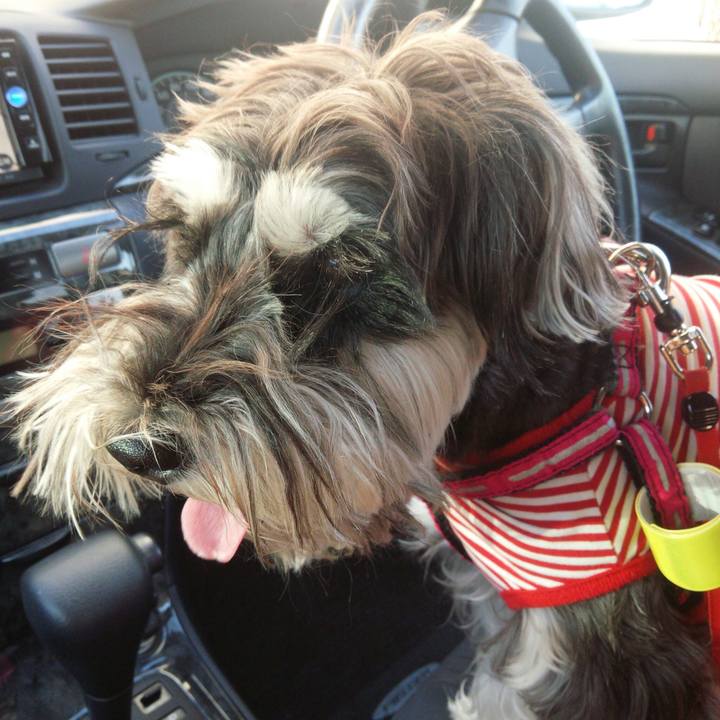 3e29bb0f 483a 4a56 a07b 90a02cfa71b7