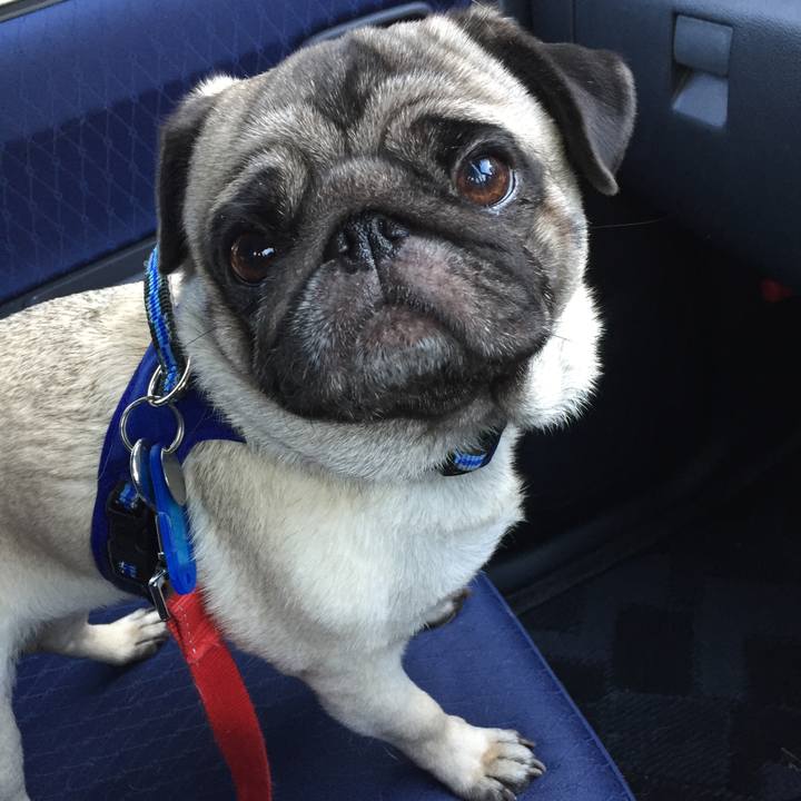 3e29ec25 94e8 490f ad67 62bdf3a6fd07