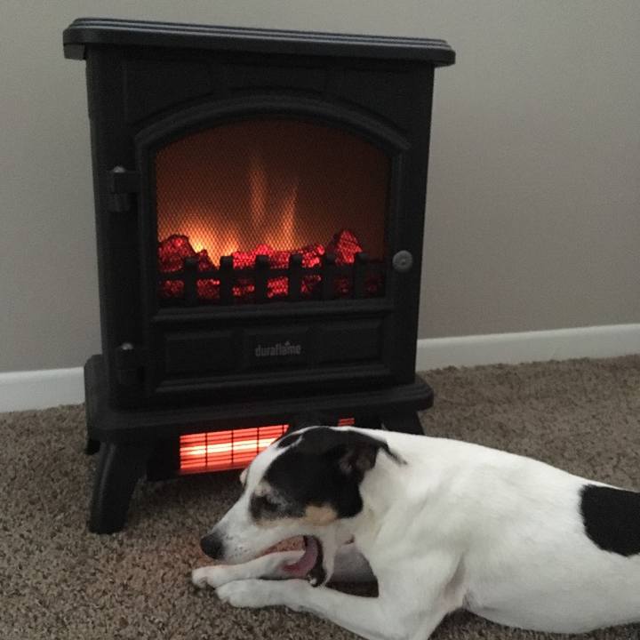 3e2a31e8 3eb9 40b9 890d dda9a00e2b14