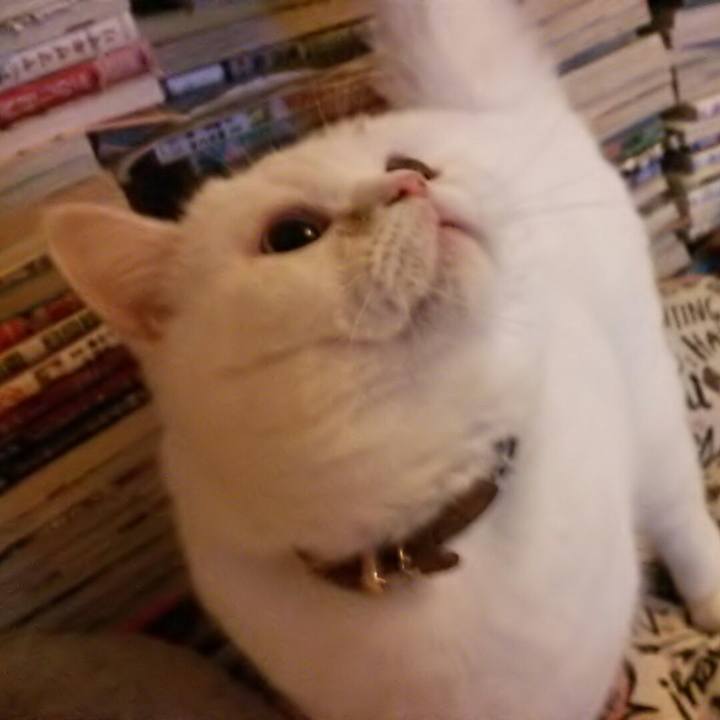 3e2a3cec e166 4de7 8f7a a3fb15bec5f3