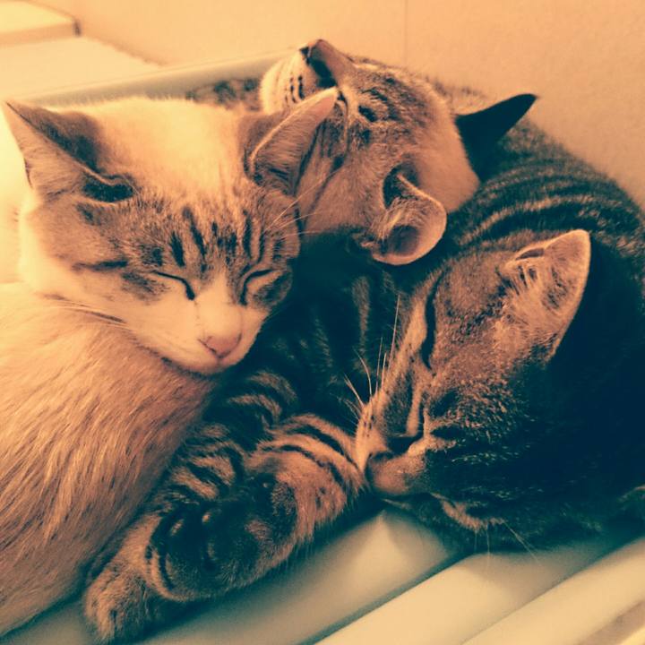 3e2abdf4 6813 40ff b724 ed8f6f3a4d91