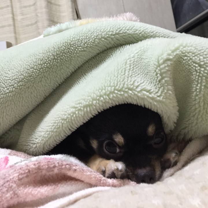 3e2afb2c 4f36 4b75 b52f dccb83574172