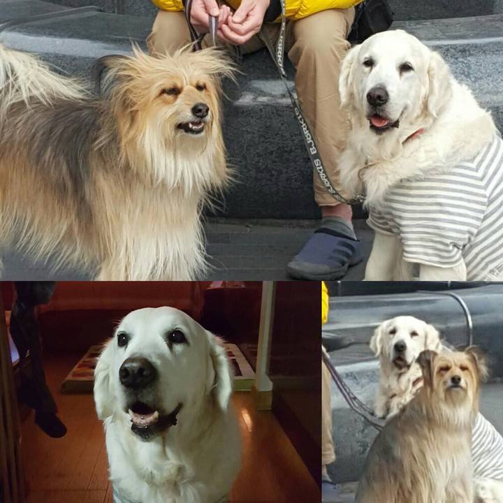 3e2b826c 8365 4e0a 8f63 a863971fb45d