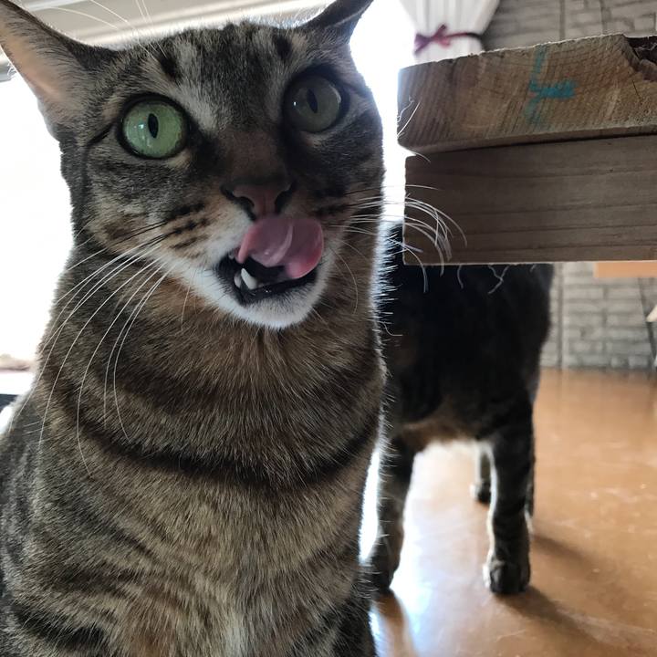 3e2d06c6 2edc 4eac b714 d94b671069f7