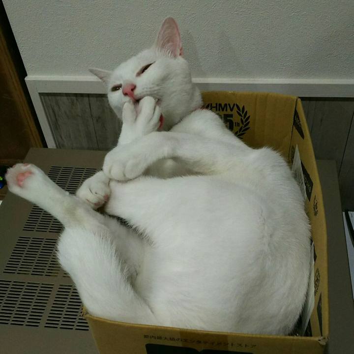 3e2d853a aa1d 477b b719 219f213eaa02