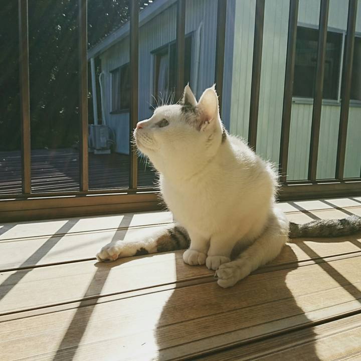 3e2db00f c15e 47d0 ab02 17fcf6483b91