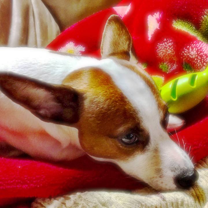 3e2db1ce cba7 4b31 b743 5be53cba07ed