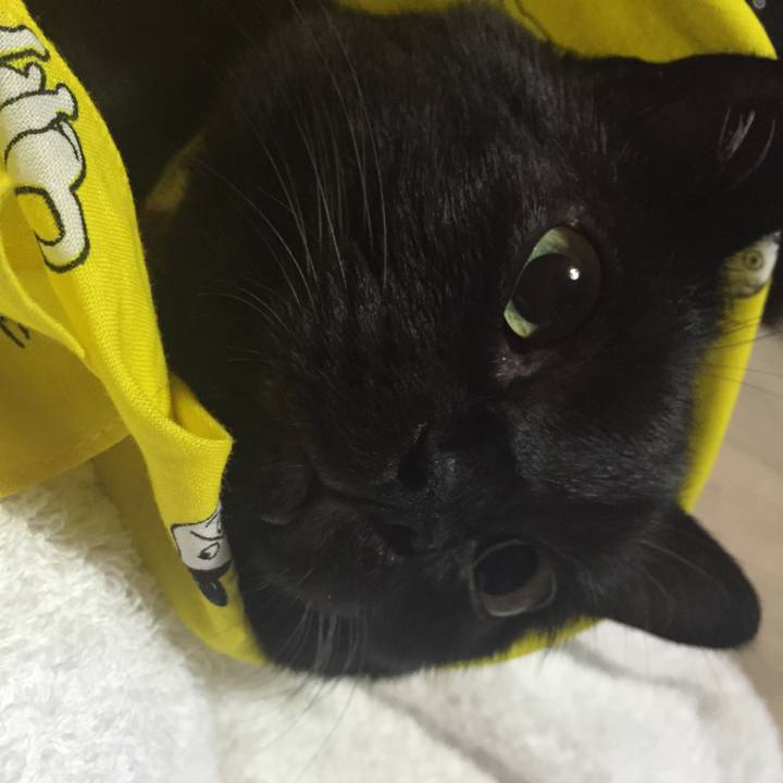 3e2e3218 c336 4c9b 85d1 8ff00e47557f