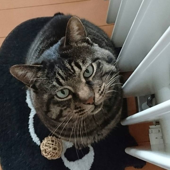 3e2eaf34 b734 440a b36e 54651cd545dd