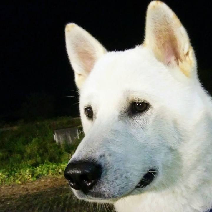 3e2ee01d a311 4438 b819 bf199b6b9701