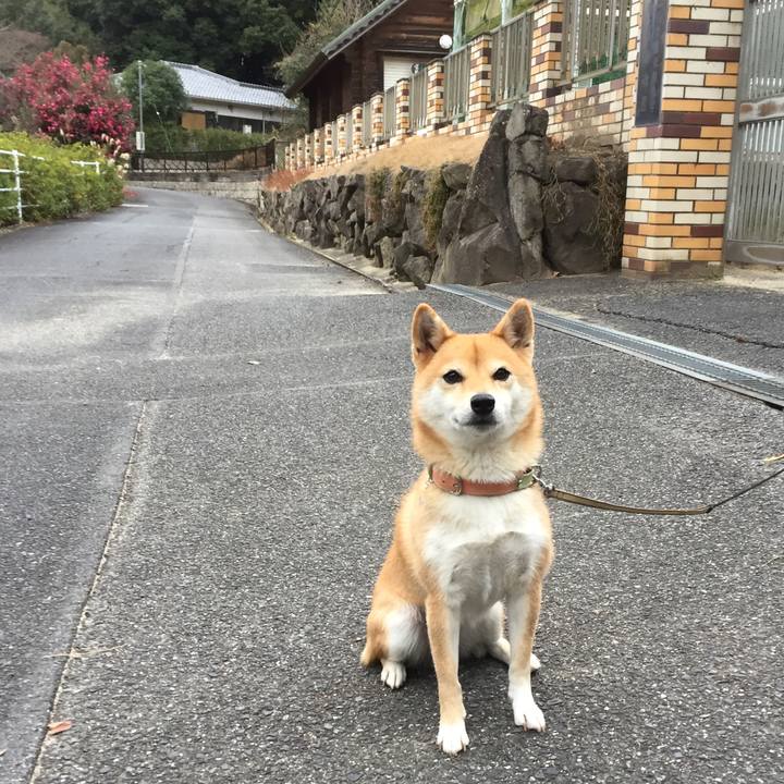 3e2ee1be 073f 4260 9b4d e9562b3200ec