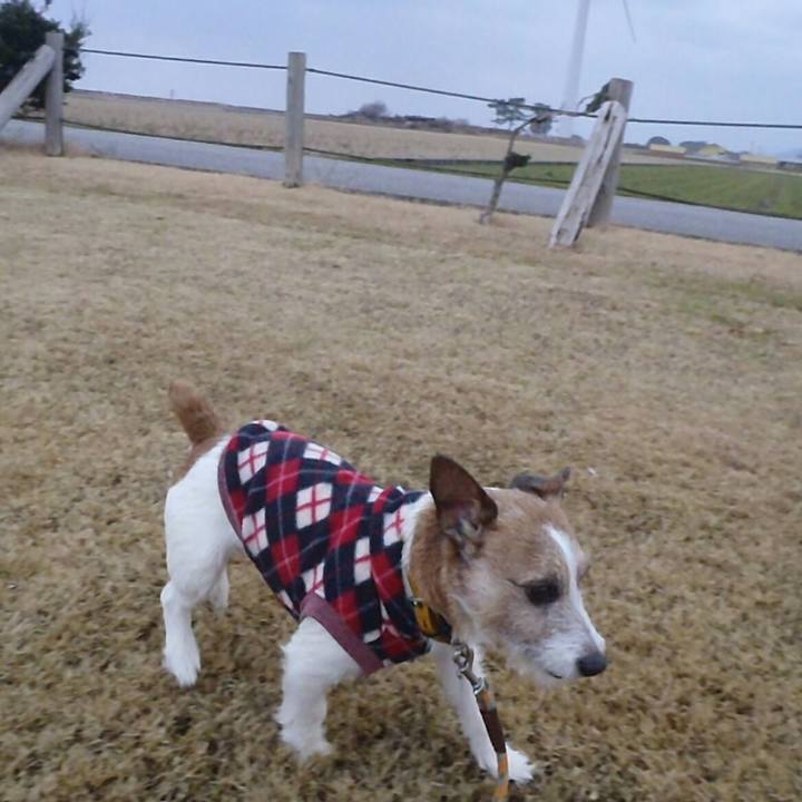 3e2f9eca a9ee 4390 abe0 006f077b3530