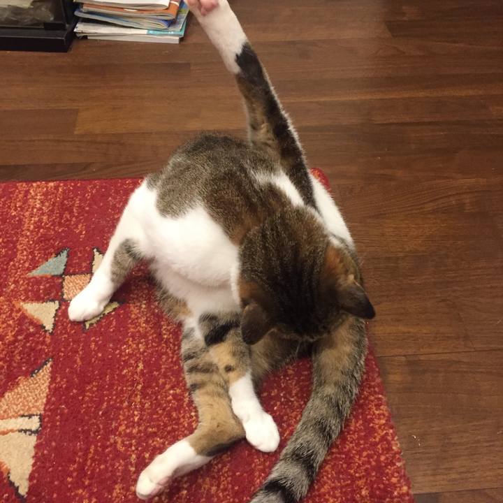 3e2fc94e bb07 43e8 acbb 75afd7cbd48c