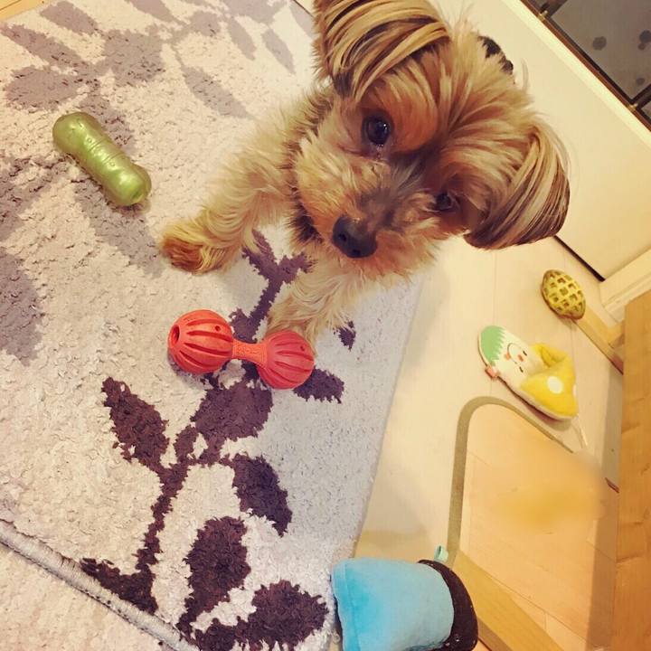 3e2fcb1d cd79 4b79 99a3 2fe67f8d346d