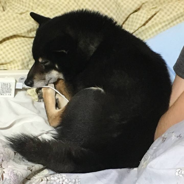 3e30715e 7de1 4aaa 8d89 b80612d29c96