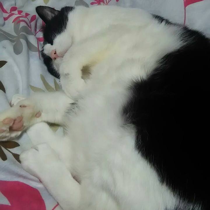 3e30868a 42ad 4319 8e59 6b09da431f6d