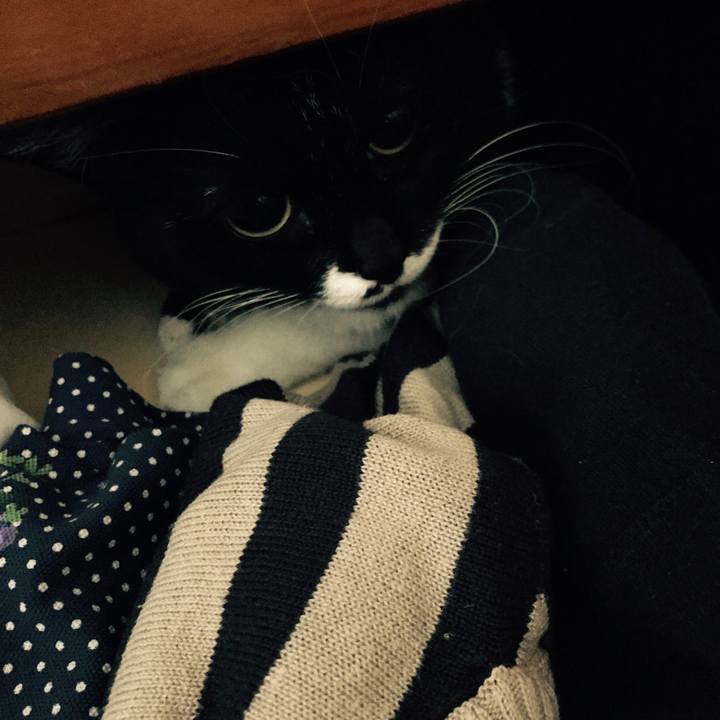 3e309ace bd39 474f ad72 45bb7c40872f