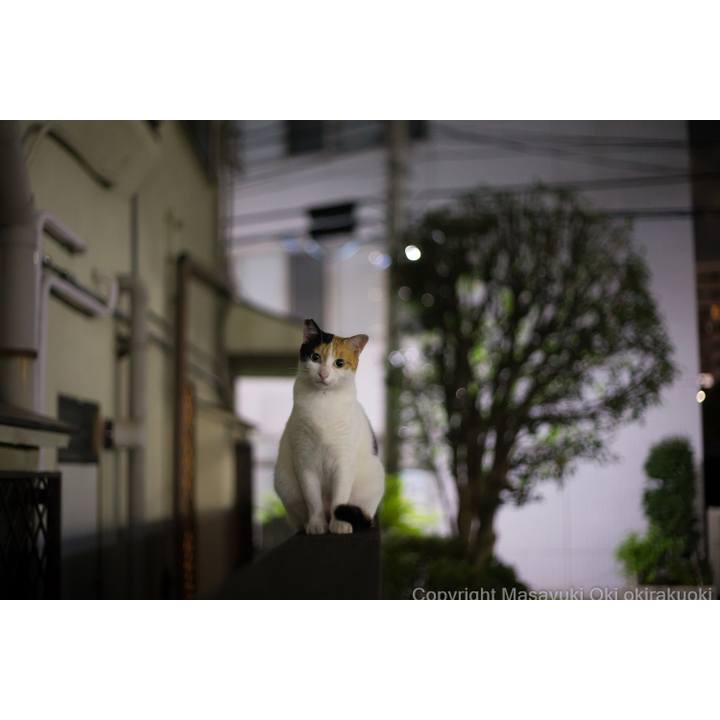 3e30bea0 15c9 49c5 a277 c43baa61dce9