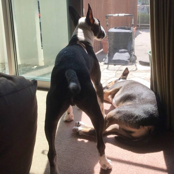 3e30ee17 3b36 472c ab38 343b50634f00