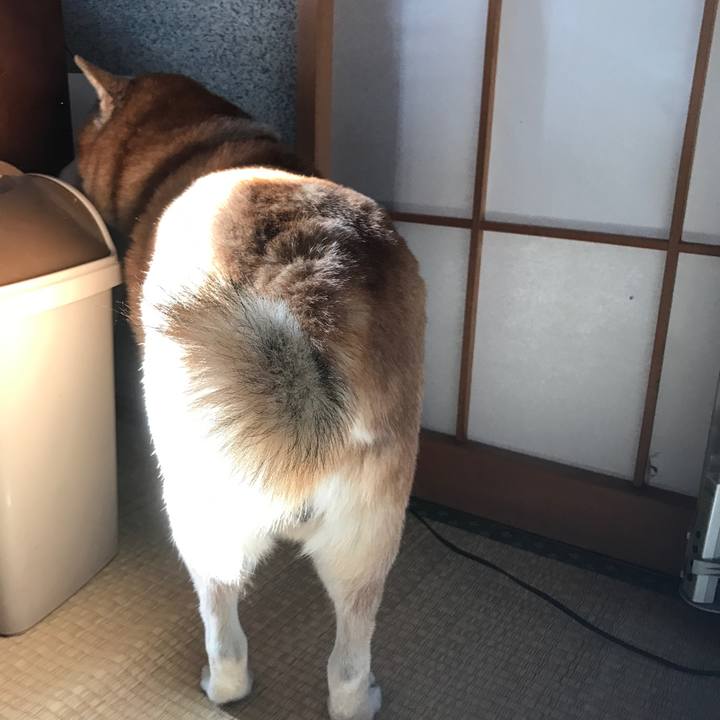 3e30f35a 2a3a 499d 8b9e fc693d84cda6