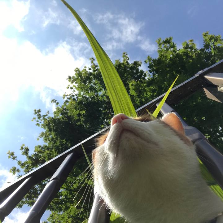 3e31fbbe 44c8 4f5c b660 55297da1cfb6