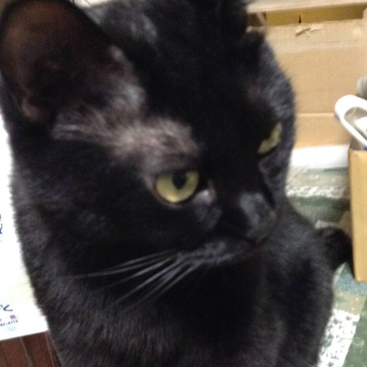 3e324a34 ca46 455b b6a5 4016e85b4b80