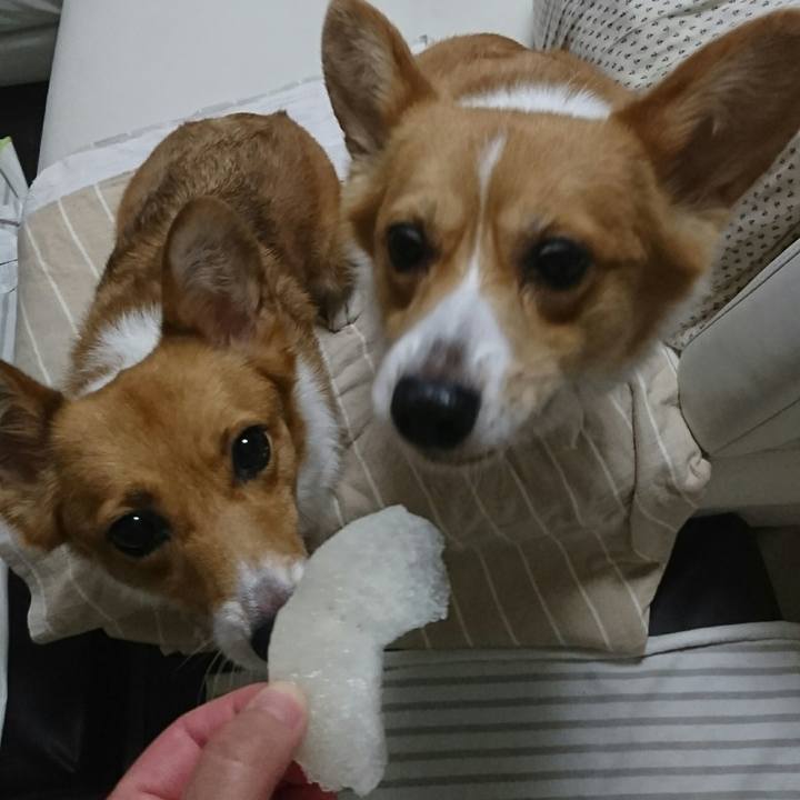 3e32a0e0 cb92 4f55 aa06 d8be52442b8f