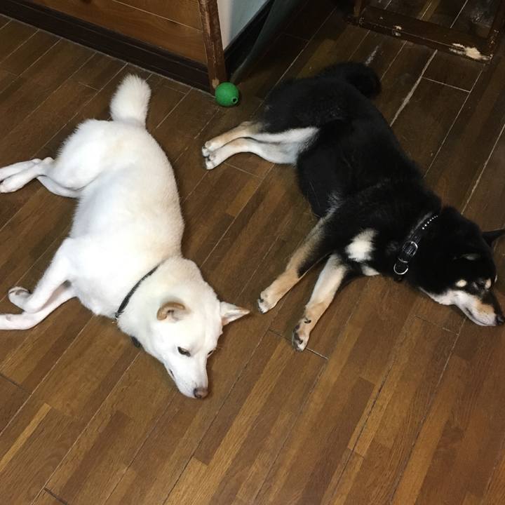 3e32e6f5 8bdc 4dfc 8437 609004c0adb9