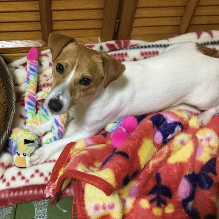 3e333e56 e0a4 47db b5b0 ad09efae5b74