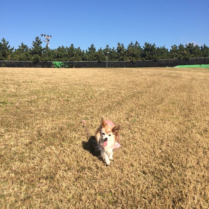 3e33694e 90f2 4259 884a 6cca8bb45804