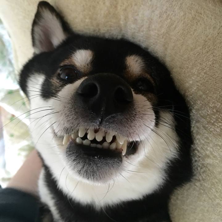 3e338af7 9f42 429c 8afa 49f223cd034d