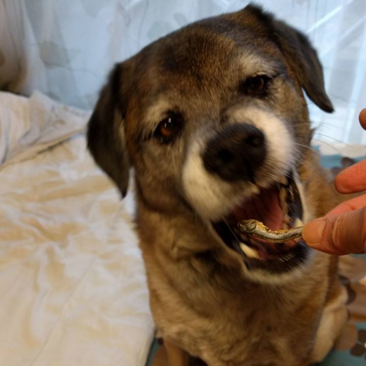 3e33cddd db6c 424a b4f9 5331443f56cc