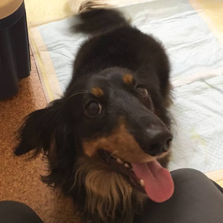 3e33db5c 37ab 4158 ab19 5ee122097466