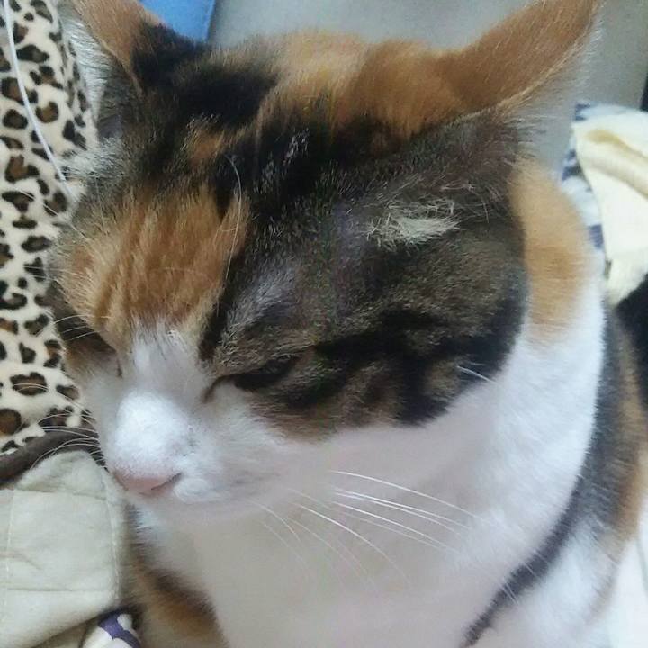 3e33f4e8 09ec 4c6c 86d6 4dbeecb7bfce