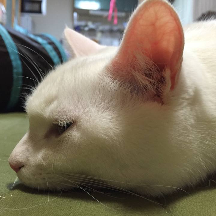 3e33f5f8 f010 4180 ac8b 291b0fda8154