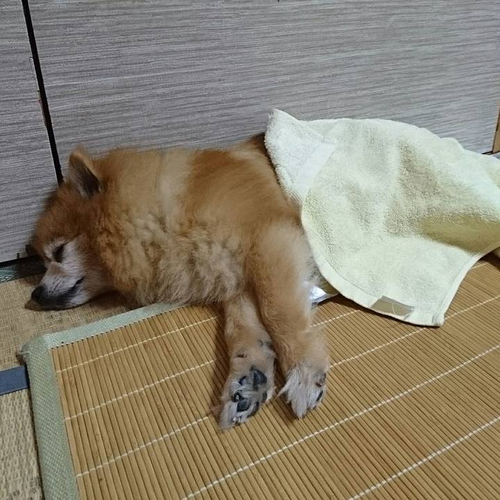 3e33fd98 c6a4 422d bc98 613387092627