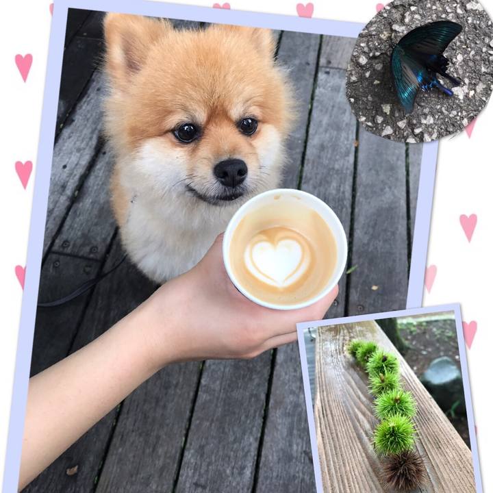 3e3516bf 4cdb 4394 985a 6f20b5c14245