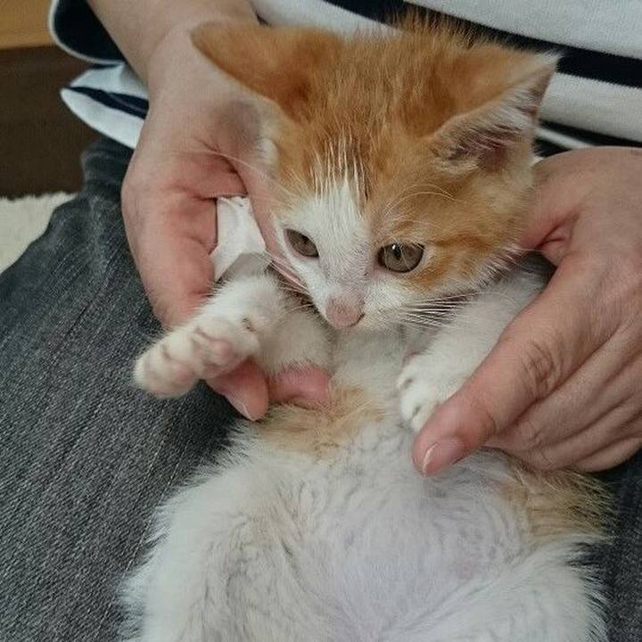 3e355846 2f4c 499f 8100 c9563e260165