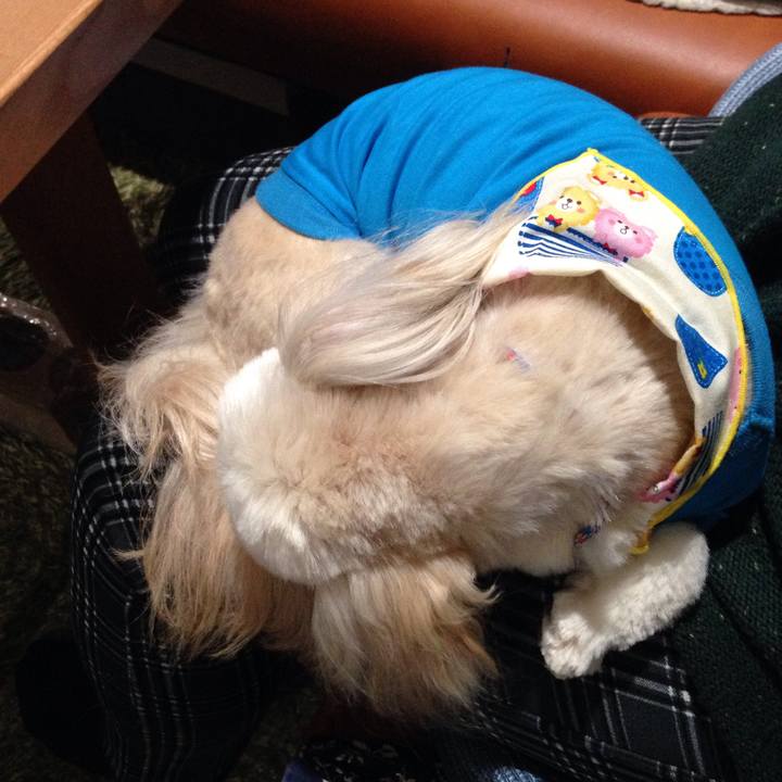 3e35966f f497 4e8e 9c4c 1a80bc1fa560