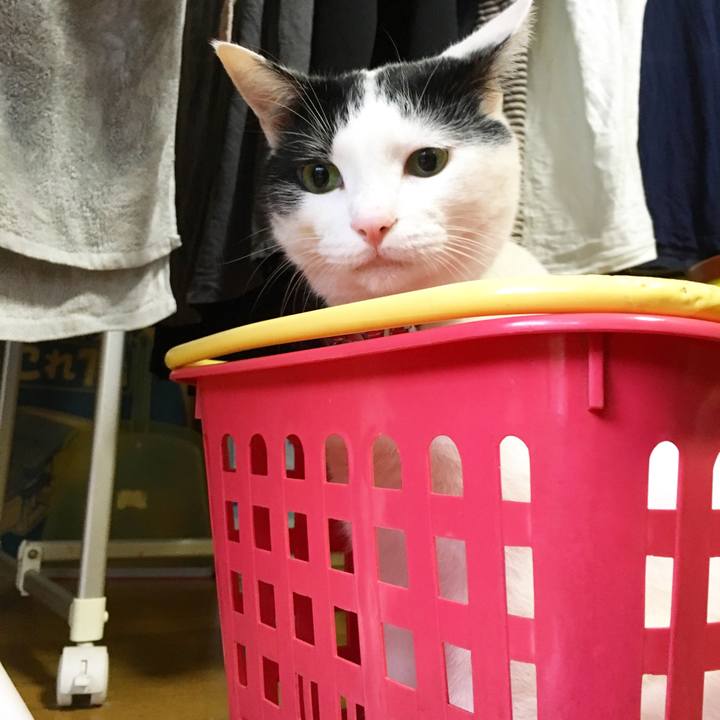 3e35e38e 7a9e 49a4 875e 8a8b6b7f2836