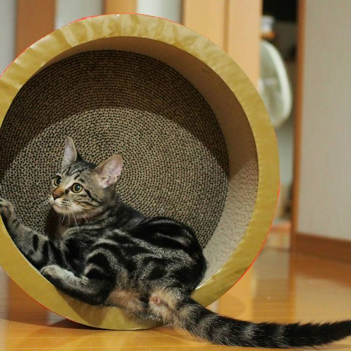 3e36b277 b0f6 45b5 95b6 a1c326bdfe4b