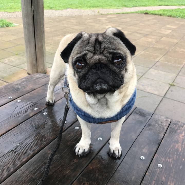 3e37ea39 e0f8 4e0e 9b8e 7d6298a5398e