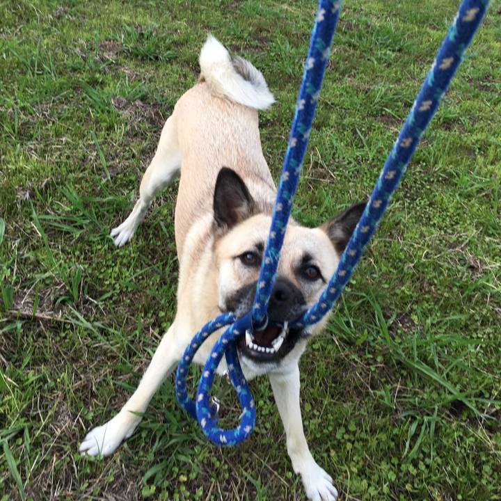 3e3a59d9 f4ca 45cb b2f5 f1d3771e6a97