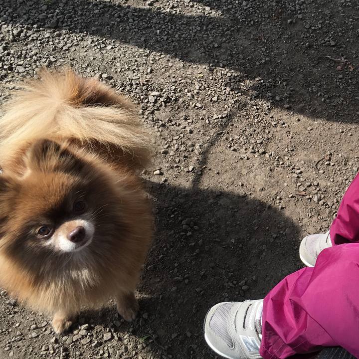 3e3ae174 5369 4f02 b719 2be5873a2cc0