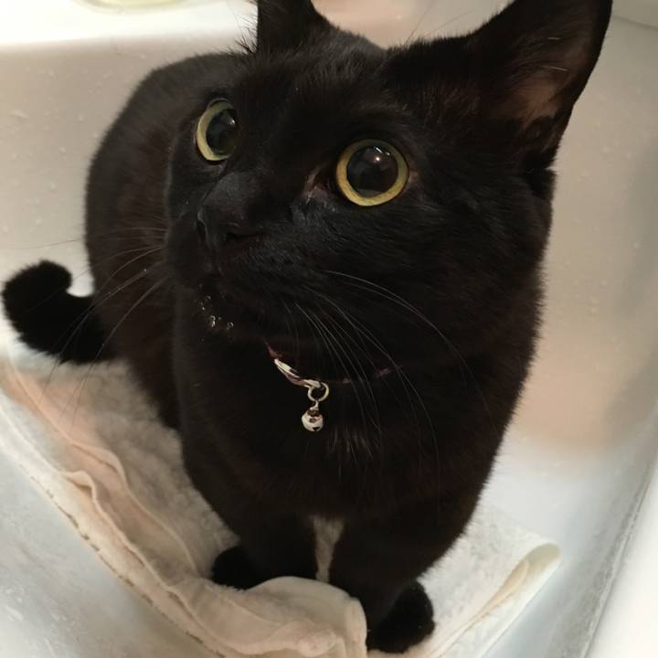 3e3b40ac 4852 4e1f 8461 82384f7d492e