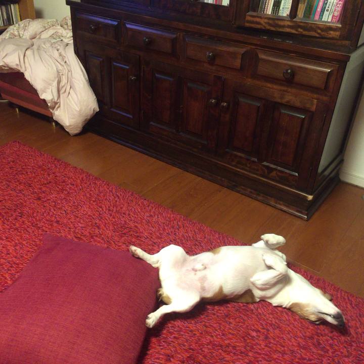 3e3b99cd f7a1 48f4 b8a9 5cf240c8aabc